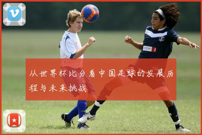 从世界杯比分看中国足球的发展历程与未来挑战