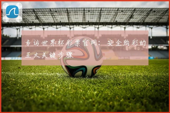 专访世界杯彩票官网:安全购彩的五大关键步骤