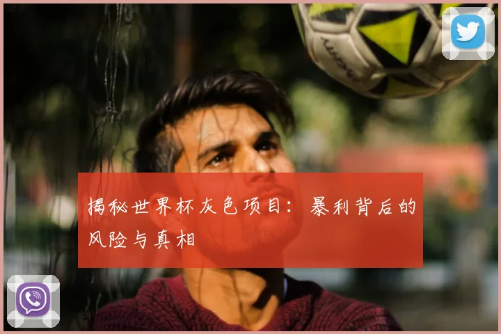 揭秘世界杯灰色项目:暴利背后的风险与真相