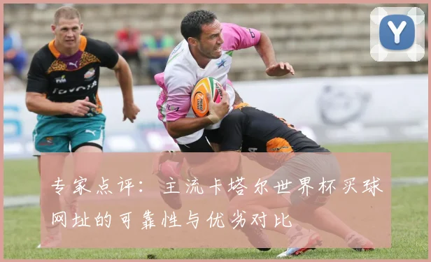 专家点评:主流卡塔尔世界杯买球网址的可靠性与优劣对比