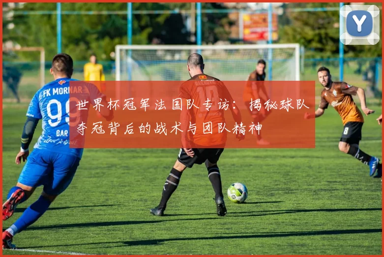 世界杯冠军法国队专访:揭秘球队夺冠背后的战术与团队精神