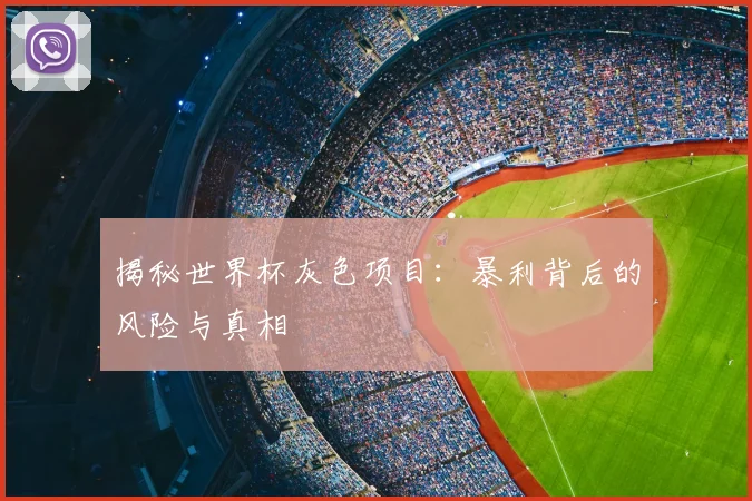 揭秘世界杯灰色项目:暴利背后的风险与真相