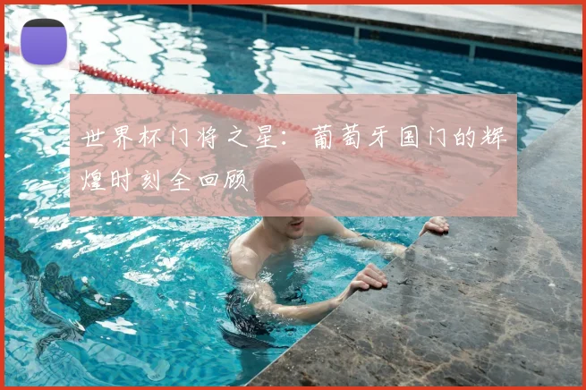 世界杯门将之星：葡萄牙国门的辉煌时刻全回顾