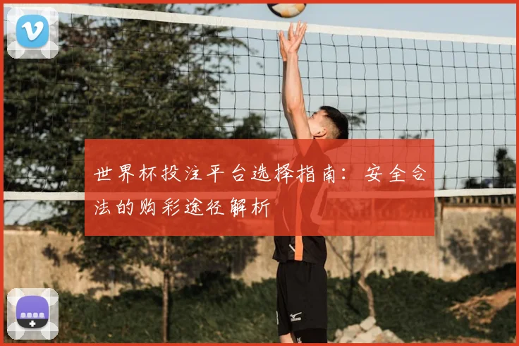 世界杯投注平台选择指南:安全合法的购彩途径解析